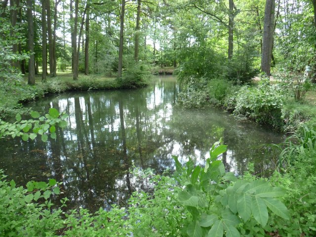Vente maison Saint-maurice-sur-fessard 45700