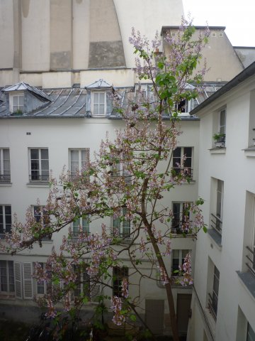 Location appartement meubléParis 75005